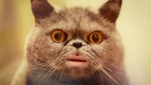 Yall Nyquil Dayquil Gif Find On Gifer