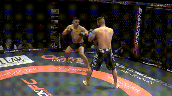 Out fighters. Shamrock FC MMA бойцы