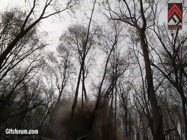 A85L.gif