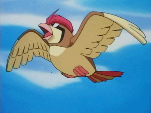 Pidgeotto anime GIF - Find on GIFER