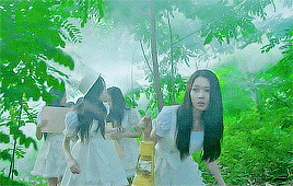 Celebrity Cats 15 Nba Playoffs Naeun Gif Find On Gifer