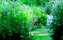 Celebrity Cats 15 Nba Playoffs Naeun Gif Find On Gifer