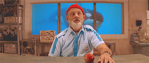 Bill murray orca the life aquatic with steve zissou GIF - Find on ...