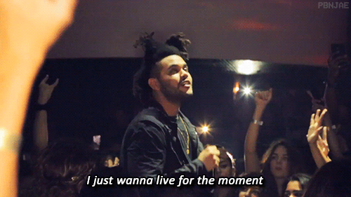 Https Encrypted Tbn0 Gstatic Com Images Q Tbn 3aand9gcr2zad7obzk810ycq6a Qci 06nwcy8kqxtvq Usqp Cau