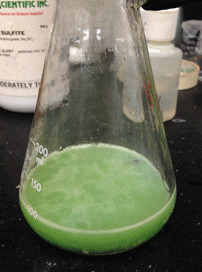 GIF chemistry cypress - animated GIF on GIFER, 画像サイズ:202x272