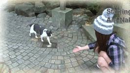AKFv.gif