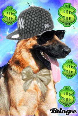 rich dog meme