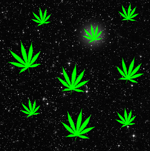 Конопля гифка марихуана семена эйфория