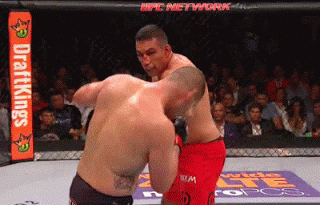 AVa0.gif