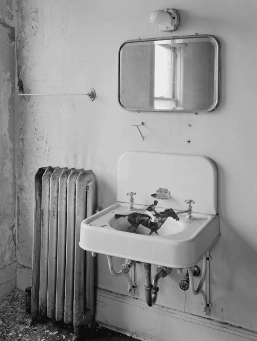 Absurd strange experimental GIF Find on GIFER