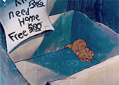 Image result for sad oliver and company gif
