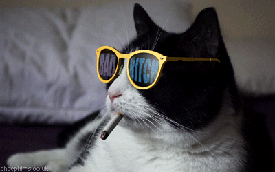 Кот курит марихуану два окна тор браузер gidra