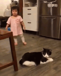 B2.gif