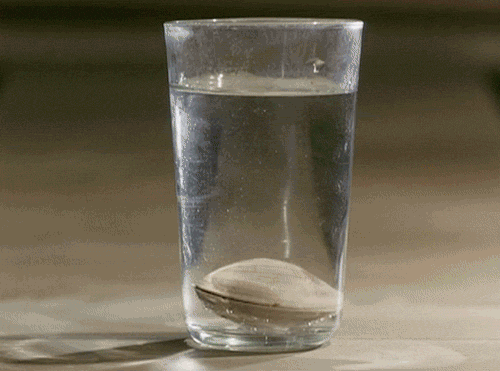 Анимация вода в стакане, пожелания