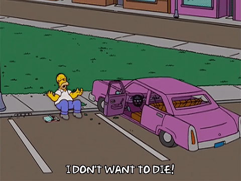 14x10 Homer Simpson Car Gif Find On Gifer
