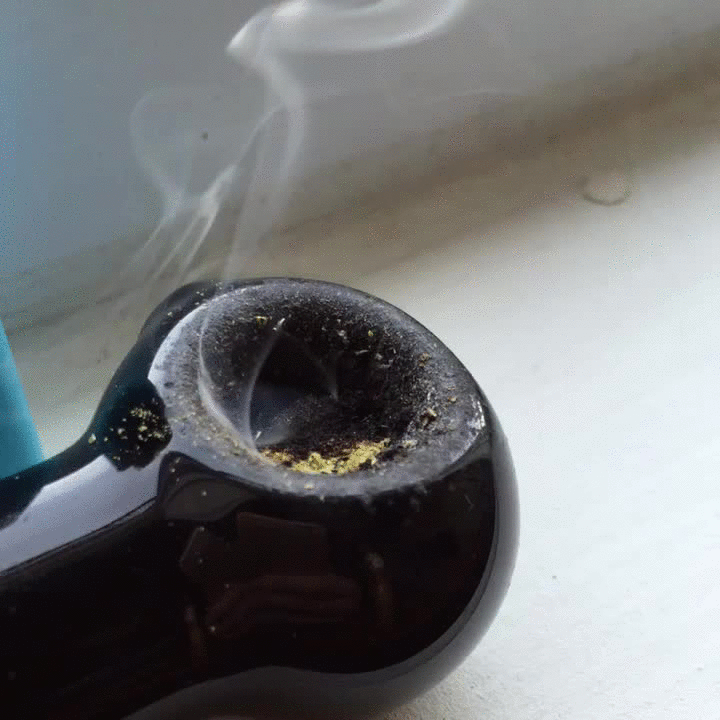 Lsu utc tamu GIF Find on GIFER