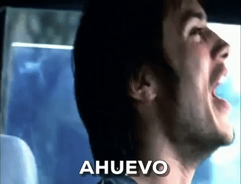 Amores Perros Memes THE NEW DISORDER | The New Yorker