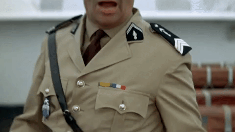 BCER.gif