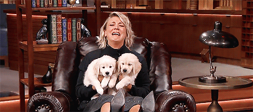GIF televisions celebridade promis - animated GIF on GIFER