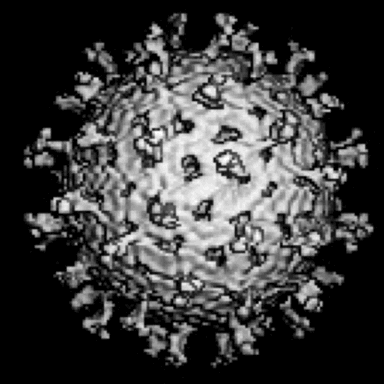 Javascript Infection Gif Pixelsorting deathorgone databending GIF - Encontrar en GIFER