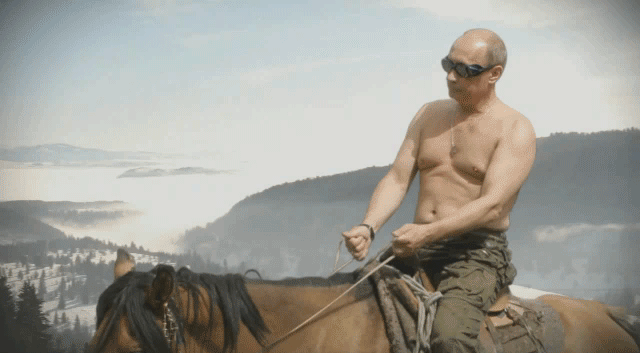 Putin es reelegido presidente de Rusia con el 87% de los votos. Felicidades crack!
