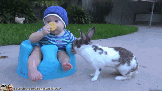 BXQf.gif