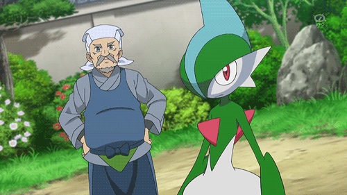 Image result for gallade gif