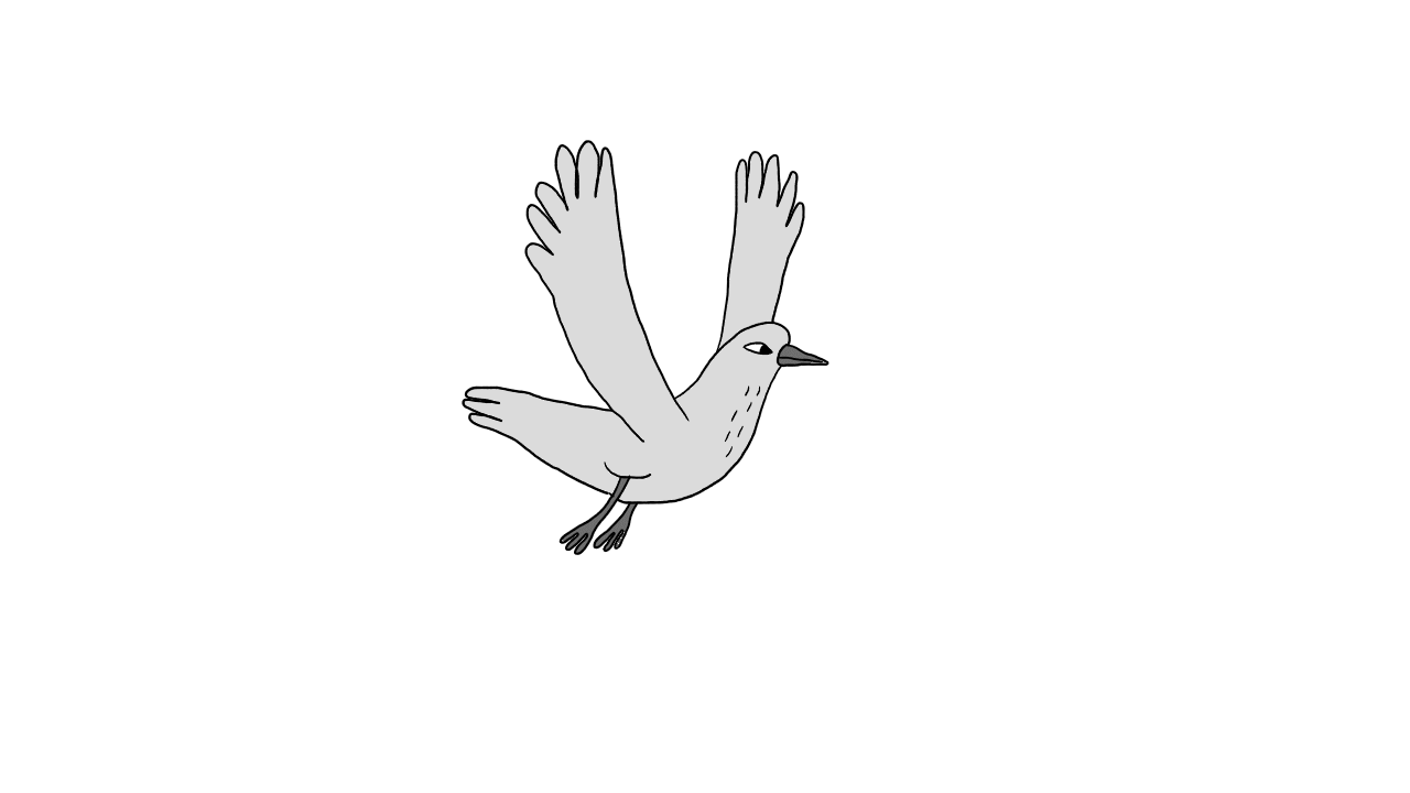 Animated GIF bird, illustration, free download pernille kjaer, art, artists...