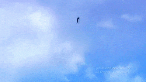 Colin Raff Unknown Neudeco Gif Find On Gifer