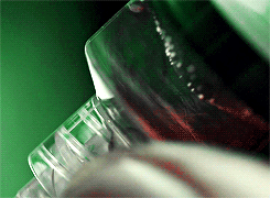 BmSG.gif