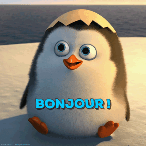 Bonjour GIFs - Get the best gif on GIFER