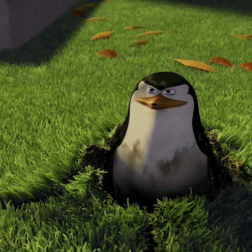 Ты ничего не видел пингвины. Пингвины ты никого и ничего не видел. Пингвины Мадагаскара. Пингвины Мадагаскара ты ничего не видел. Включи никто не видел