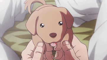 >>React the GIF above with another anime GIF! (8330 - ) - Forums -  MyAnimeList.net