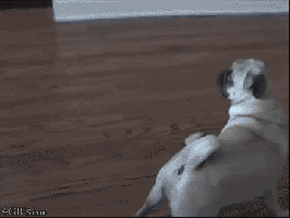 Bu4O.gif
