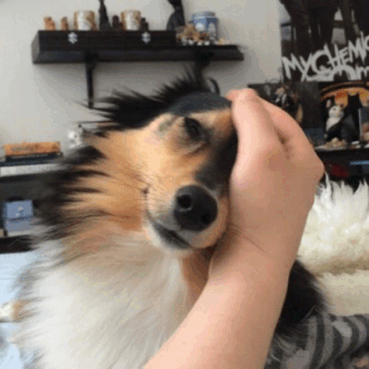 https://i.gifer.com/Butn.gif