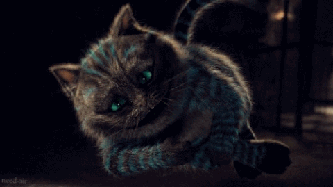 Гифка чеширский кот гиф картинка, скачать анимированный gif на GIFER