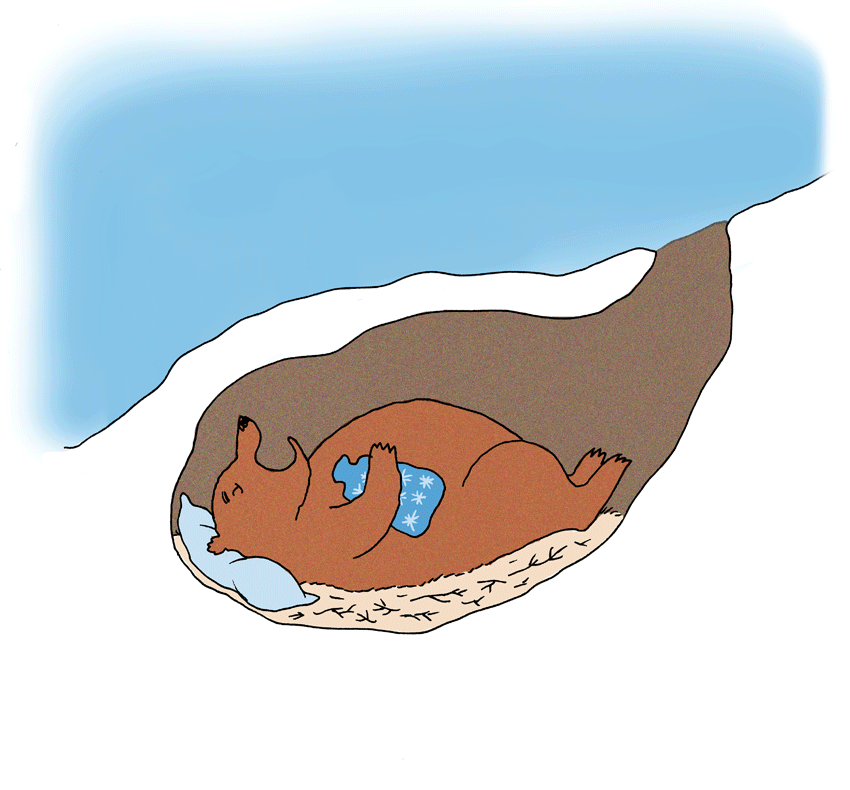 Яой спячка. Зимняя спячка. Зимняя спячка для детей. Гифка медведь в берлоге. Спящий медведь.