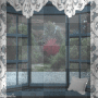 GIF phhhoto - animated GIF on GIFER