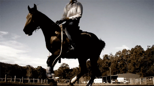 Лихой наездник. Мужчина на лошади. На коне гиф. Мужчина на коне. Девушка верхом.