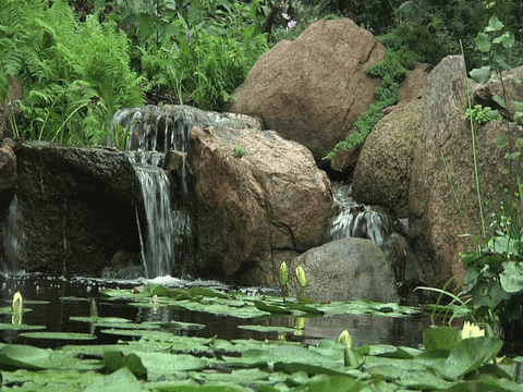 C7SG.gif