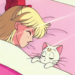 Featured image of post Sailor Moon Artemis Gif / Al igual que luna, él busca a la princesa serenity.