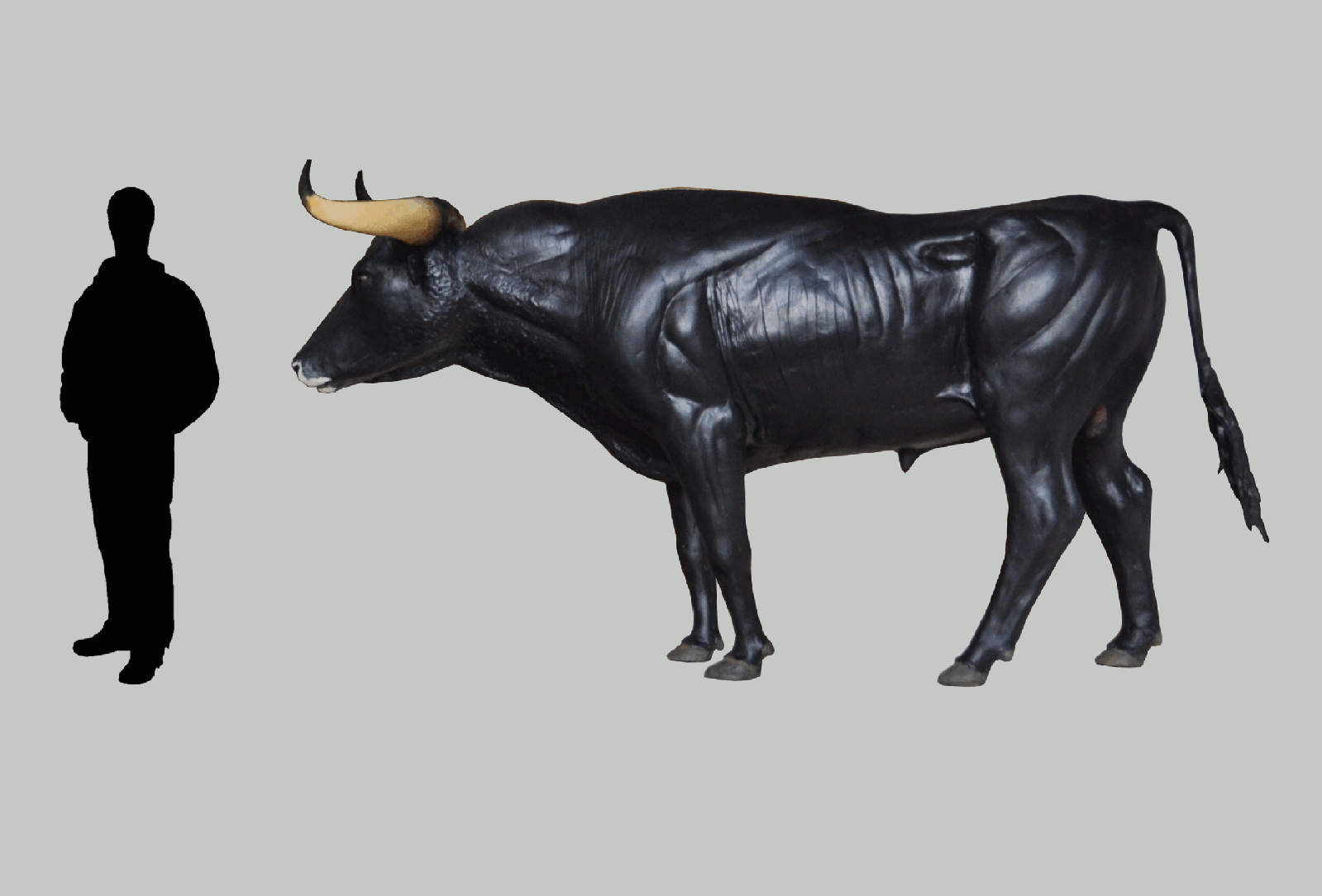 Human cattle