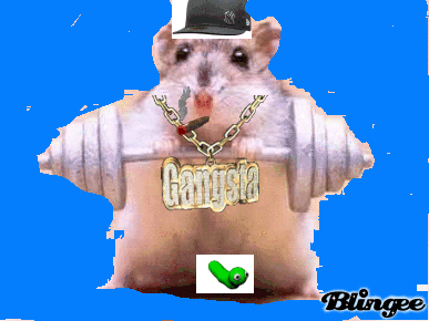 Clone hamster Clone hamster