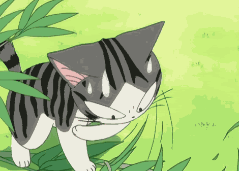 Chi animation. Аниме котёнок Чии. Котята аниме движущиеся. Аниме кот гиф. Анимированный котик аниме.