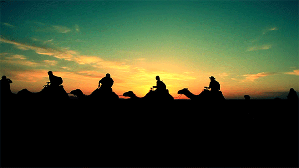GIF camels desert sunset - animated GIF on GIFER - by Stargrove