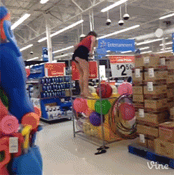 CSzG.gif