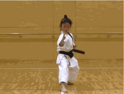 karate kid crane gif