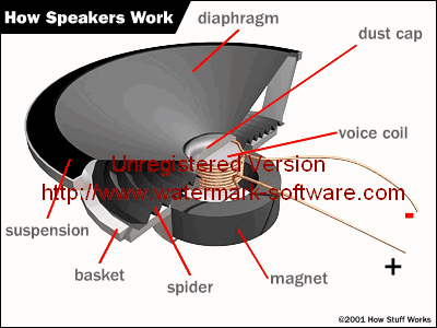 How speaker works. How speaker works