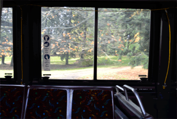 Вид из окна автобуса. Окошки вид из автобуса. Автобусное окно. Вид из окна поезда.