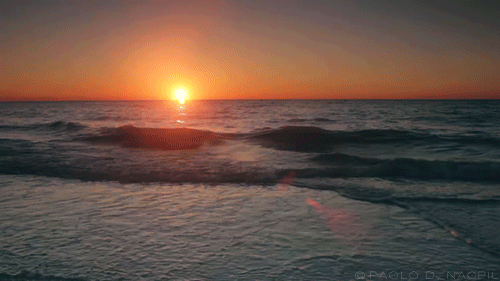 Tumblr Featured Gif On Gifer By Gholbitus Animated Gif Tumblr Featured Share Or